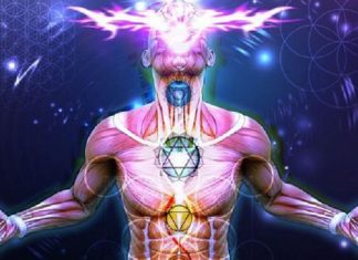 Ascension : Passer d’un niveau de Conscience à un niveau de Conscience Supérieur